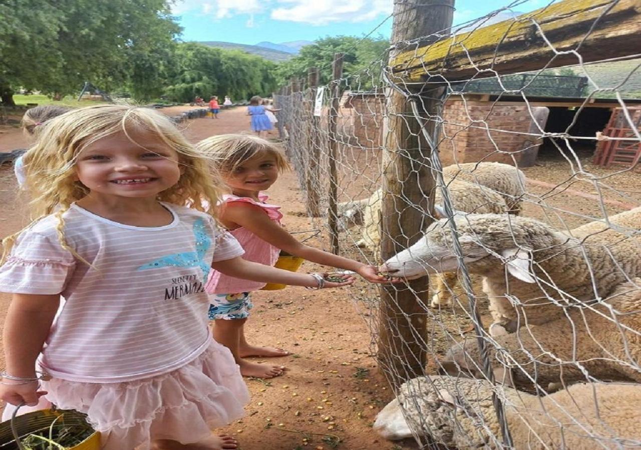 Wilgewandel Holiday Farm & Day Restaurant Oudtshoorn Zewnętrze zdjęcie