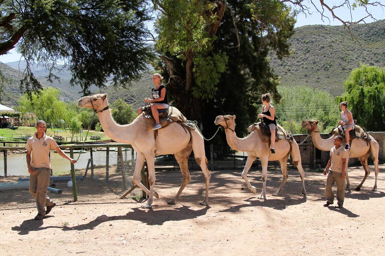 Wilgewandel Holiday Farm & Day Restaurant Oudtshoorn Zewnętrze zdjęcie