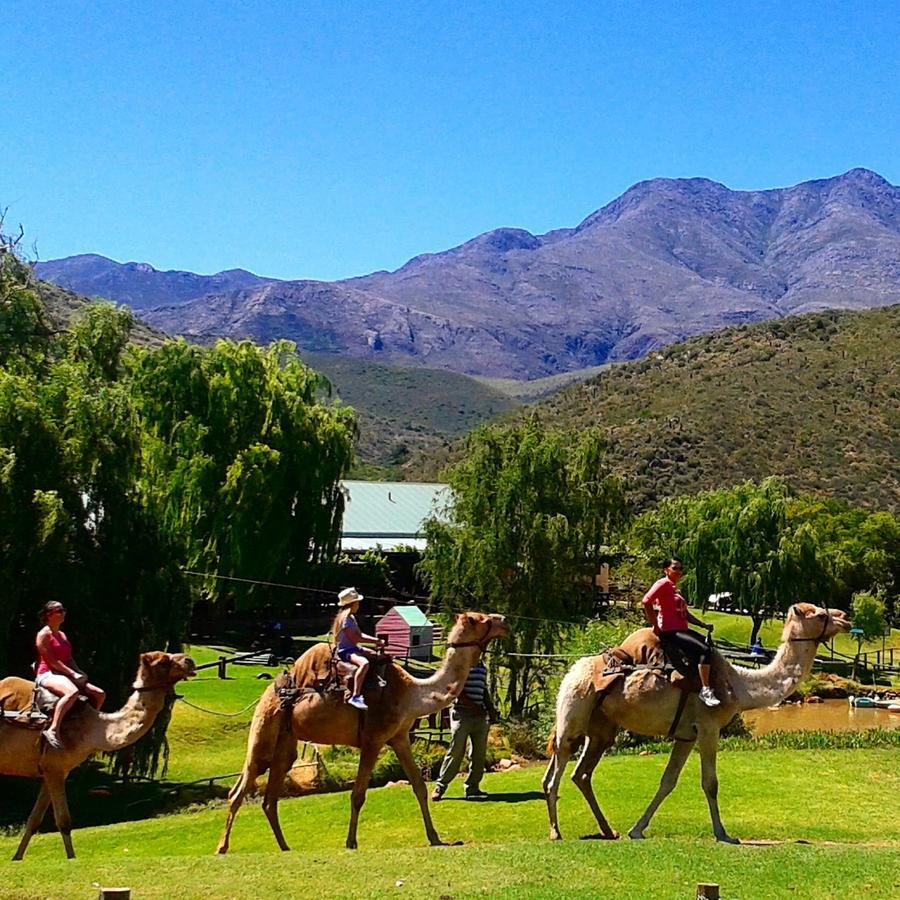 Wilgewandel Holiday Farm & Day Restaurant Oudtshoorn Zewnętrze zdjęcie