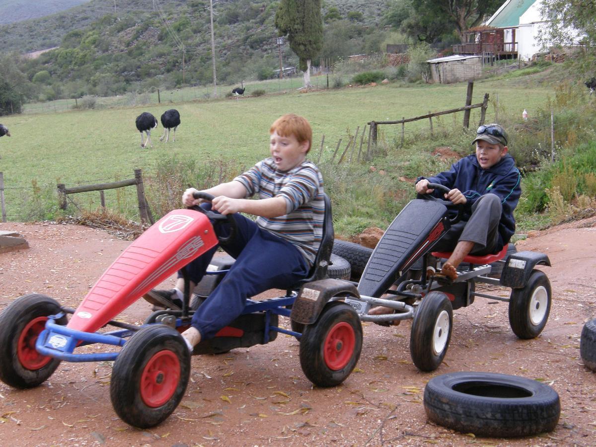 Wilgewandel Holiday Farm & Day Restaurant Oudtshoorn Zewnętrze zdjęcie