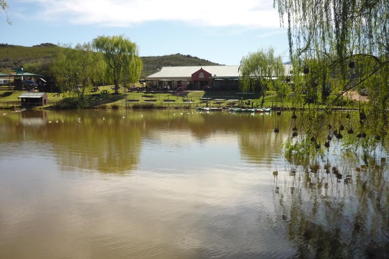 Wilgewandel Holiday Farm & Day Restaurant Oudtshoorn Zewnętrze zdjęcie