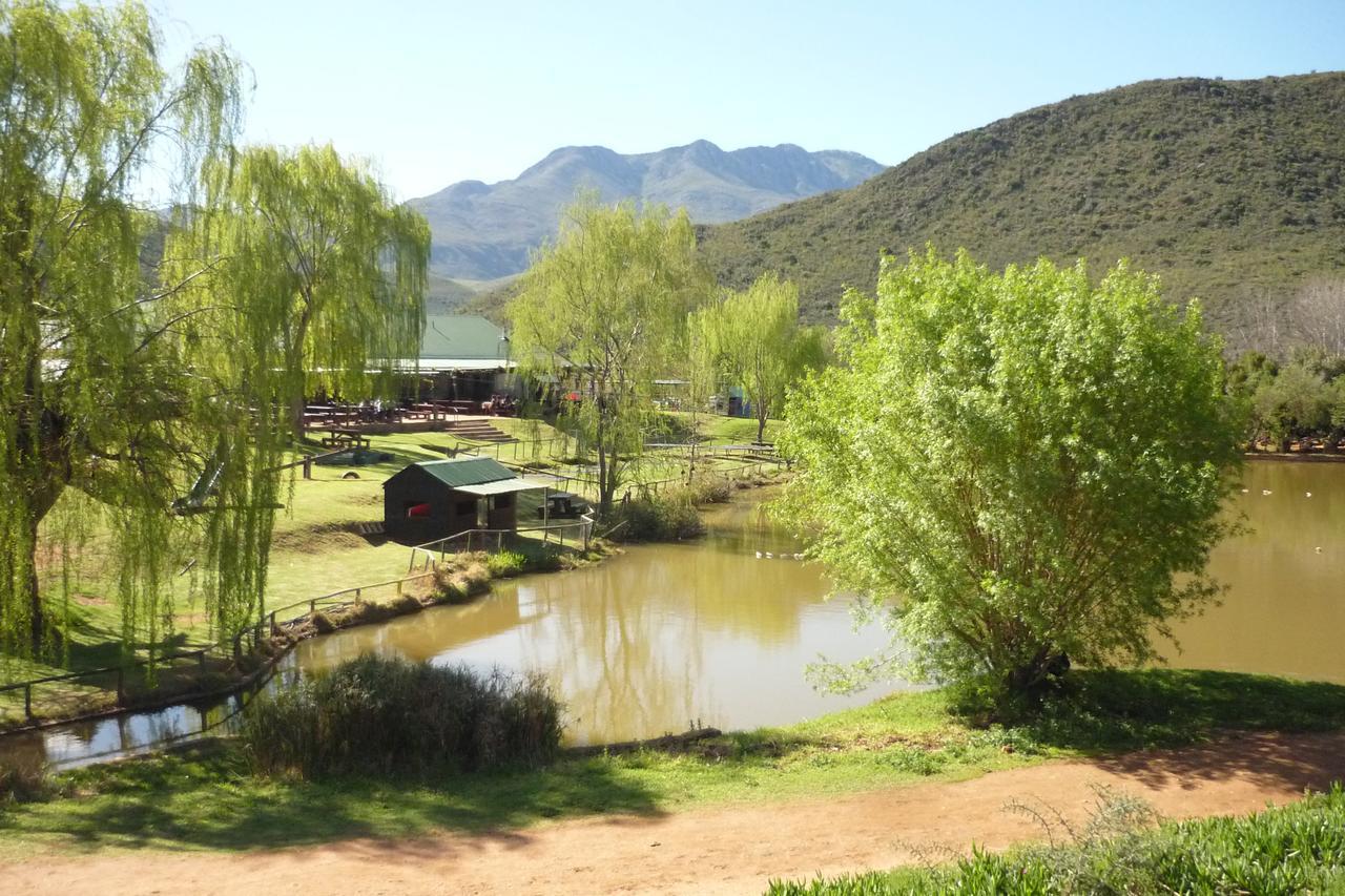 Wilgewandel Holiday Farm & Day Restaurant Oudtshoorn Zewnętrze zdjęcie
